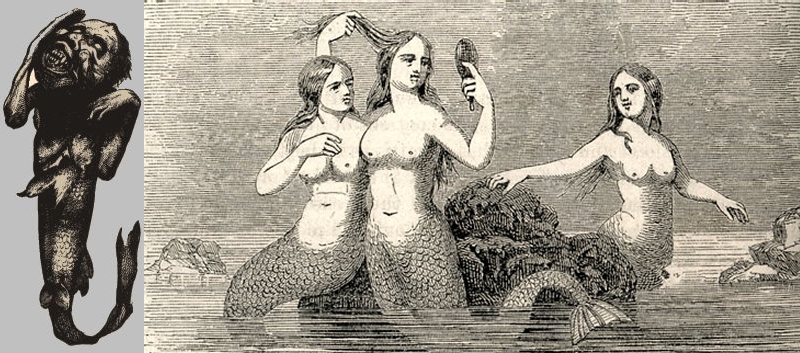 Actual Fiji Mermaid (left) as opposed to the images that appeared in the newspapers