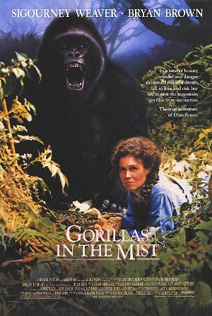 Gorillas in the Crossfire