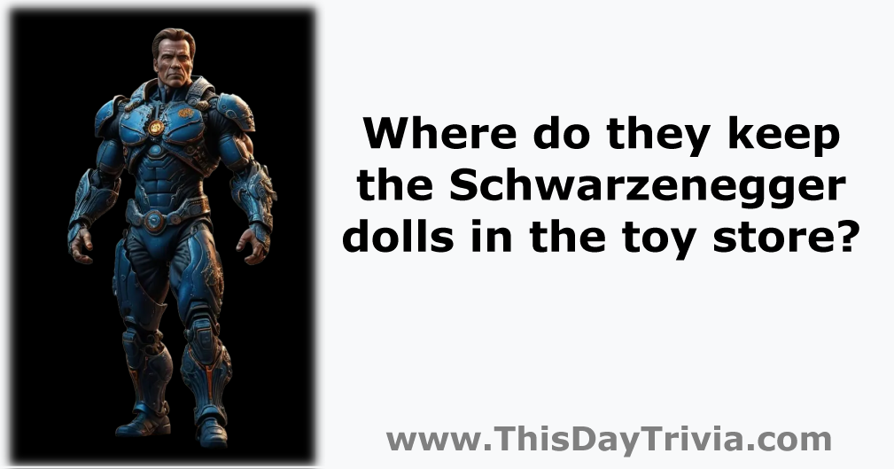 Where do they keep the Schwarzenegger dolls in the toy store?