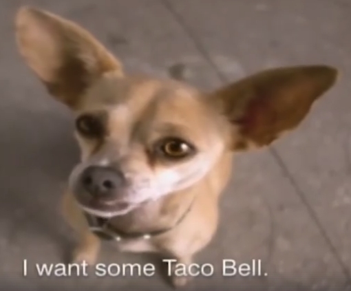 Taco Bell Chihuahua