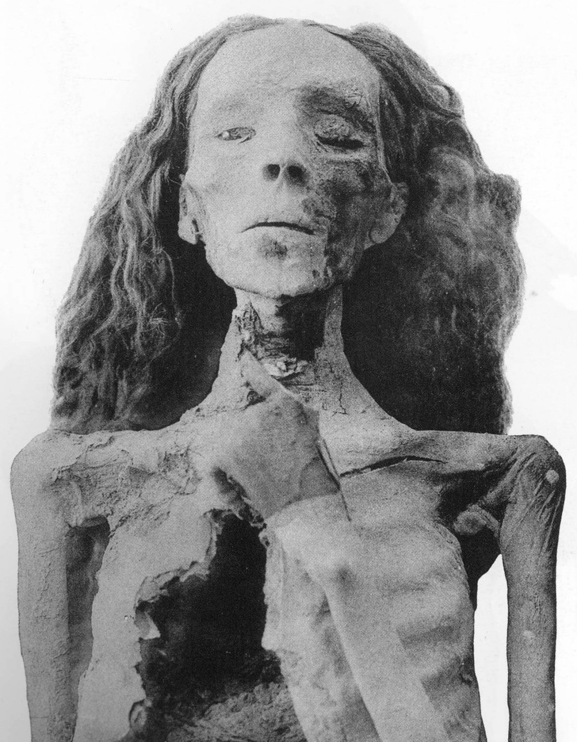 King Tut's grandmother Queen Tiye