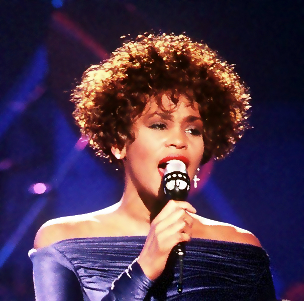 Whitney Houston Drowns In Bathtub