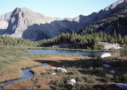 First U.S. National Forest