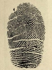 Fingerprinting