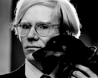 Andy Warhol Shot