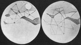 Martian Canals Depicted by Lowell