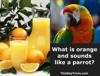 What is orange and sounds like a parrot?