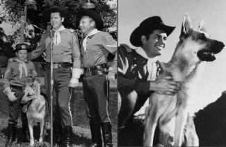 The Adventures of Rin Tin Tin