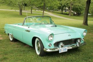 1955 T-Bird