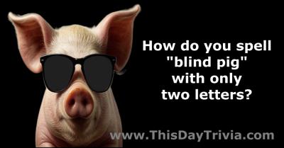 How do you spell "blind pig" with only two letters?