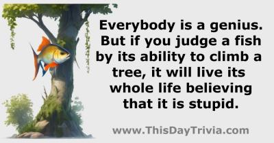 Quote: Everybody is a genius. But if you judge a fish by its ability to climb a tree, it will live its whole life believing that it is stupid. - Anonymous